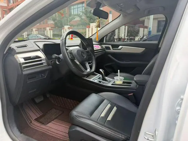 2020 BYD Qin Pro thumbnail 5