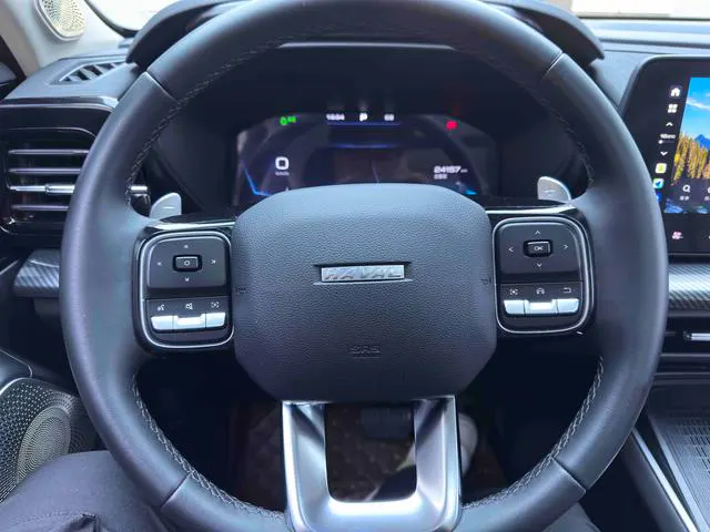2022 Haval Cool Dog thumbnail 5