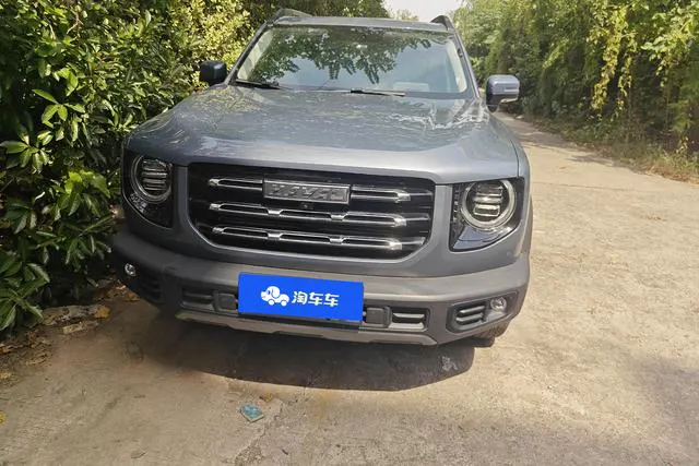 2021 Haval Dawg thumbnail 2