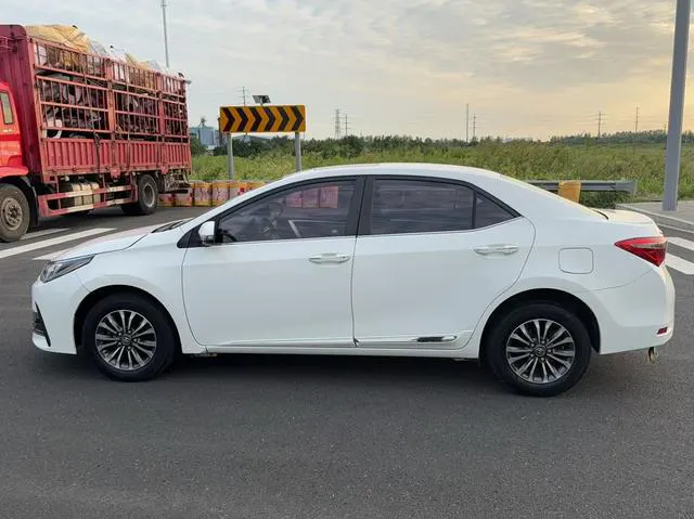 2019 Toyota Corolla thumbnail 3