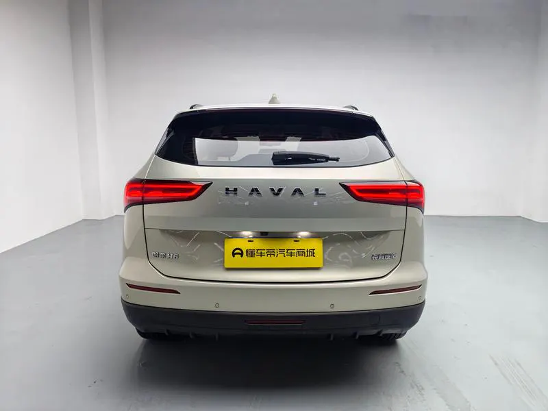 2024 Haval H6 thumbnail 7