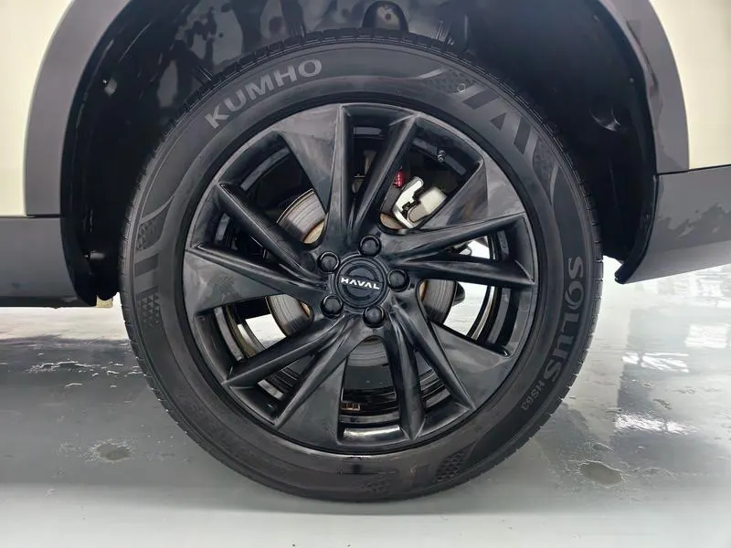 2024 Haval H6 thumbnail 10