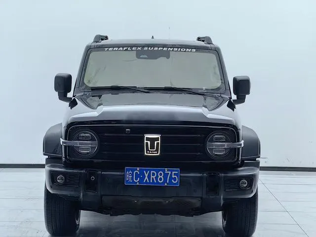 2021 Tank 300 thumbnail 2