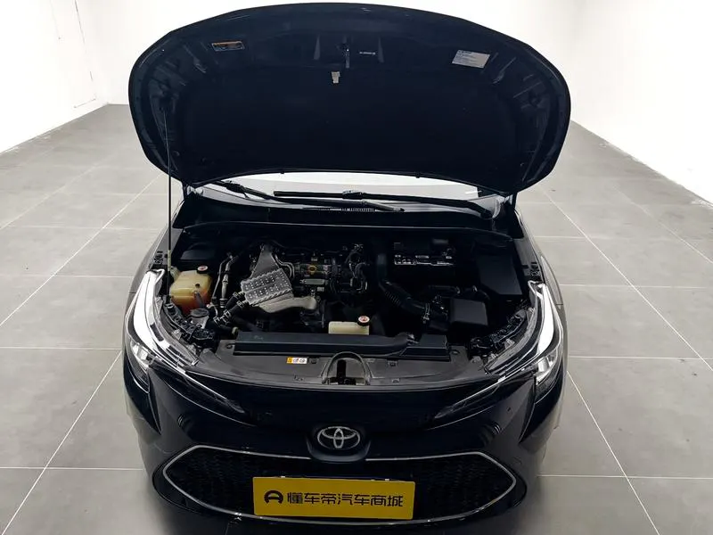 2019 Toyota Corolla thumbnail 11